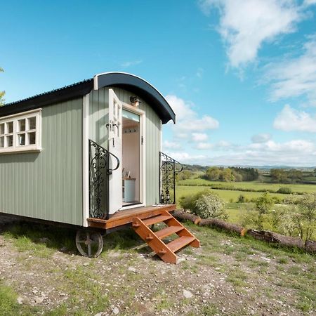 The Heron Shepherds Hut At Lyth Valley Brigsteer Eksteriør billede